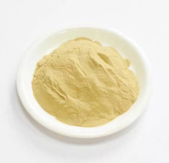 Сухой экстракт топинамбура (трава) (лат. Helianthus tuberosus)